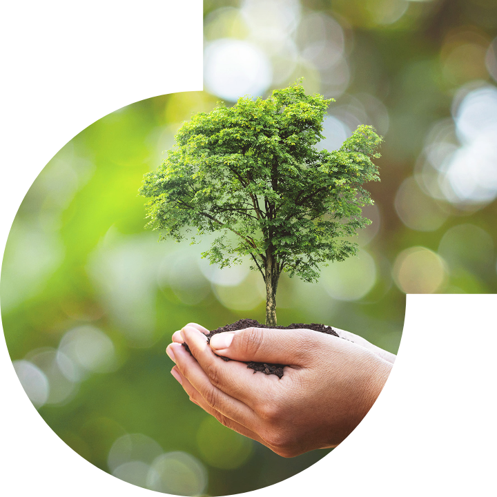 关怀人类、文化、环境与社会